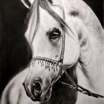 طراحی اسب سفید